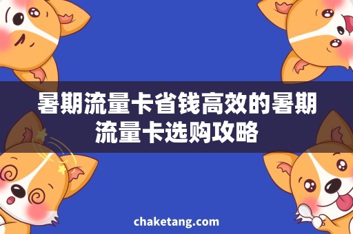 暑期流量卡省钱高效的暑期流量卡选购攻略