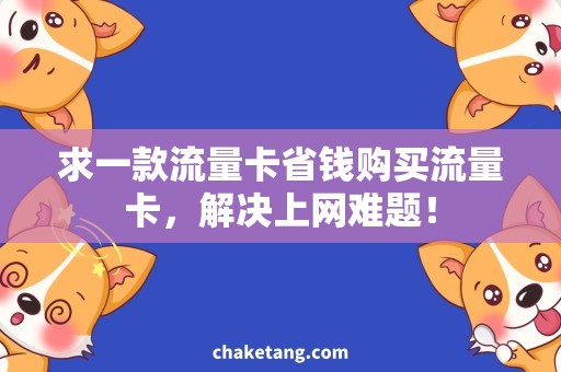 求一款流量卡省钱购买流量卡，解决上网难题！