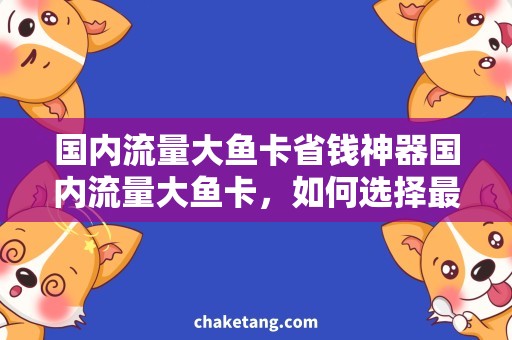 国内流量大鱼卡省钱神器国内流量大鱼卡，如何选择最优惠套餐？