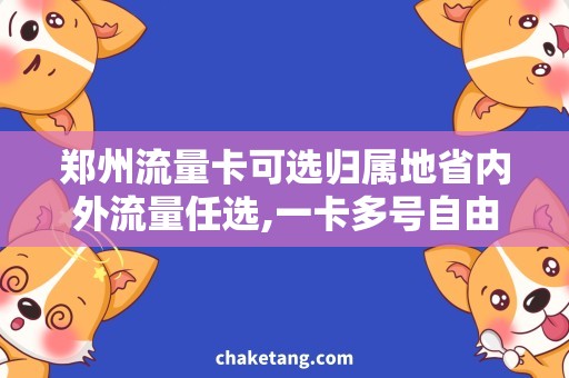 郑州流量卡可选归属地省内外流量任选,一卡多号自由切换——详解郑州流量卡可选归属地