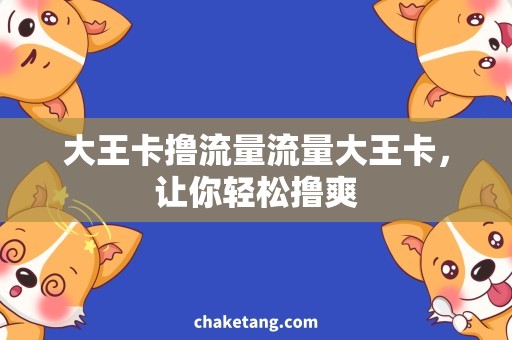 大王卡撸流量流量大王卡，让你轻松撸爽