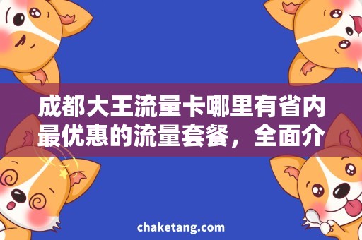 成都大王流量卡哪里有省内最优惠的流量套餐，全面介绍成都大王流量卡