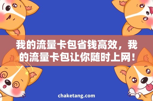 我的流量卡包省钱高效，我的流量卡包让你随时上网！