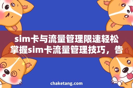 sim卡与流量管理限速轻松掌握sim卡流量管理技巧，告别限速困扰