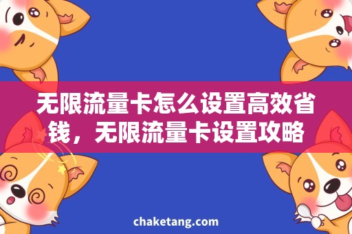 无限流量卡怎么设置高效省钱，无限流量卡设置攻略