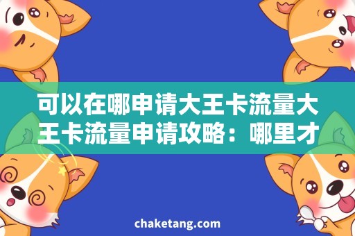 可以在哪申请大王卡流量大王卡流量申请攻略：哪里才能申请到最实惠的流量套餐？