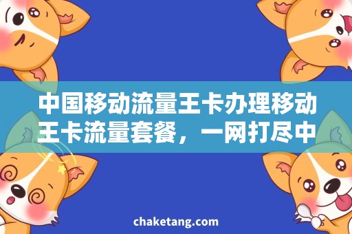 中国移动流量王卡办理移动王卡流量套餐，一网打尽中国流量需求