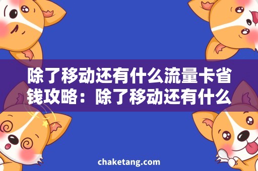 除了移动还有什么流量卡省钱攻略：除了移动还有什么流量卡适合你？