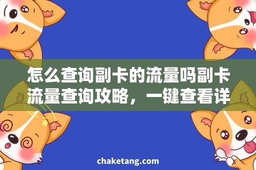 怎么查询副卡的流量吗副卡流量查询攻略，一键查看详细剩余流量！