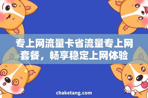 专上网流量卡省流量专上网套餐，畅享稳定上网体验