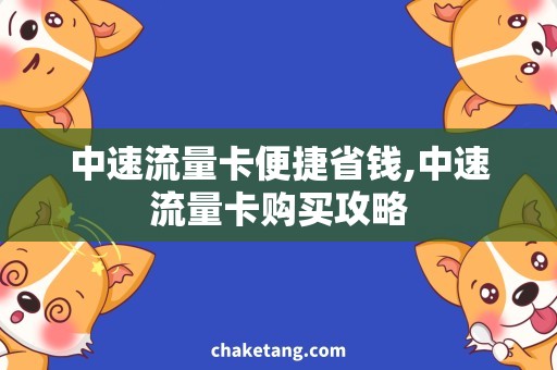 中速流量卡便捷省钱,中速流量卡购买攻略