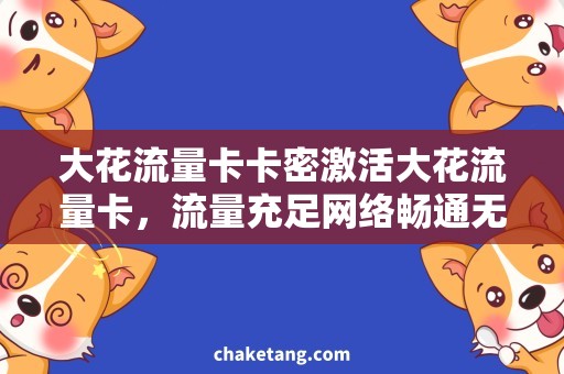 大花流量卡卡密激活大花流量卡，流量充足网络畅通无阻