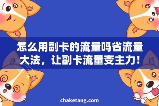 怎么用副卡的流量吗省流量大法，让副卡流量变主力！