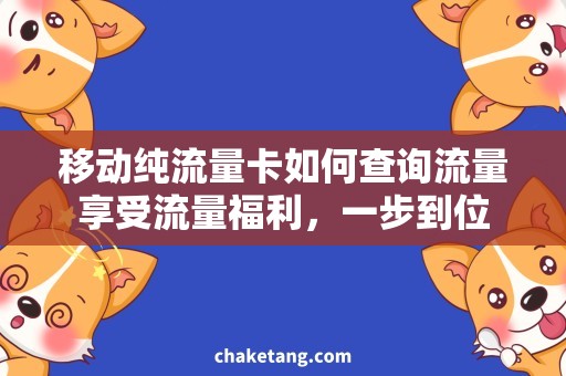 移动纯流量卡如何查询流量享受流量福利，一步到位
