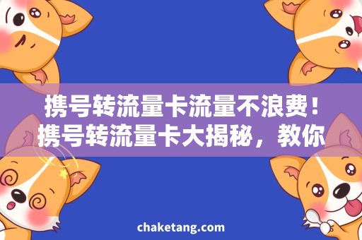 携号转流量卡流量不浪费！携号转流量卡大揭秘，教你如何利用流量转移神器