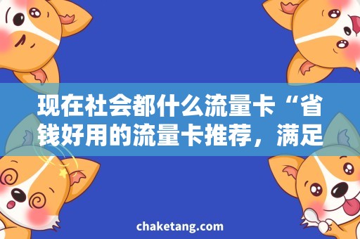 现在社会都什么流量卡“省钱好用的流量卡推荐，满足现代社会多样化需求！”