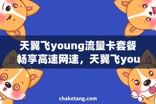 天翼飞young流量卡套餐畅享高速网速，天翼飞young流量卡套餐助你随心畅游