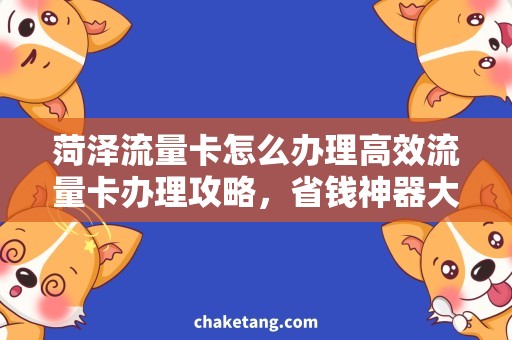 菏泽流量卡怎么办理高效流量卡办理攻略，省钱神器大揭秘！
