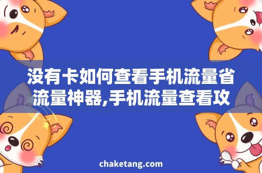 没有卡如何查看手机流量省流量神器,手机流量查看攻略
