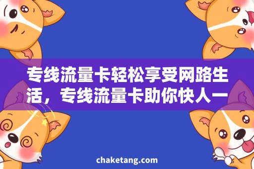 专线流量卡轻松享受网路生活，专线流量卡助你快人一步！