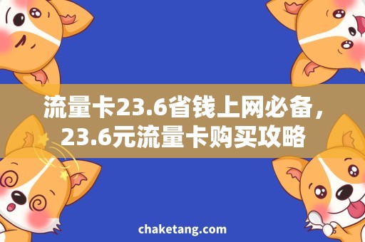 流量卡23.6省钱上网必备，23.6元流量卡购买攻略