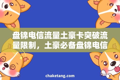 盘锦电信流量土豪卡突破流量限制，土豪必备盘锦电信卡！