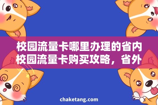 校园流量卡哪里办理的省内校园流量卡购买攻略，省外学生不要错过！