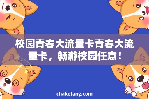 校园青春大流量卡青春大流量卡，畅游校园任意！