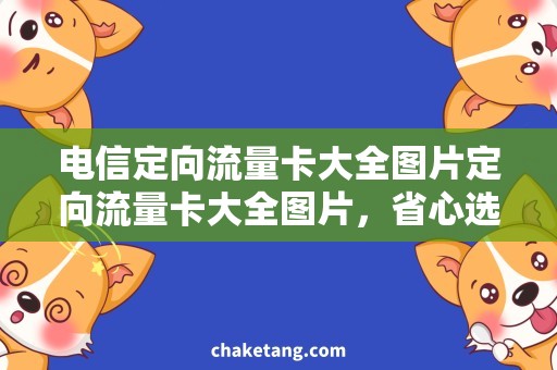 电信定向流量卡大全图片定向流量卡大全图片，省心选购全攻略！