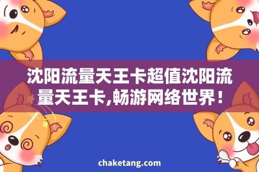 沈阳流量天王卡超值沈阳流量天王卡,畅游网络世界！