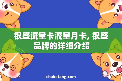 银盛流量卡流量月卡, 银盛品牌的详细介绍