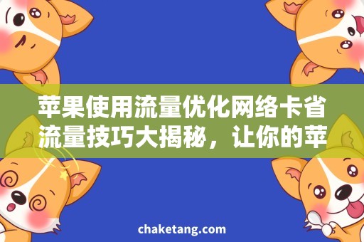 苹果使用流量优化网络卡省流量技巧大揭秘，让你的苹果流畅上网！