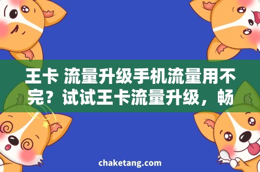 王卡 流量升级手机流量用不完？试试王卡流量升级，畅玩不停！