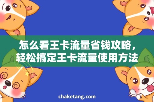 怎么看王卡流量省钱攻略，轻松搞定王卡流量使用方法