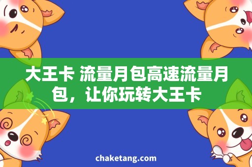 大王卡 流量月包高速流量月包，让你玩转大王卡