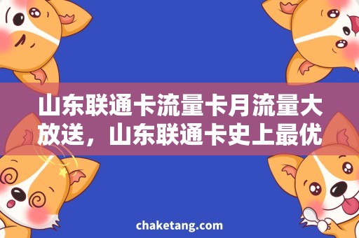 山东联通卡流量卡月流量大放送，山东联通卡史上最优惠套餐详解