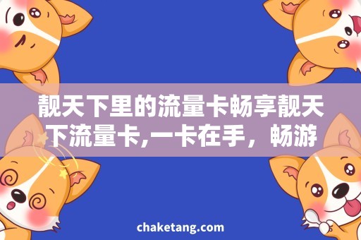 靓天下里的流量卡畅享靓天下流量卡,一卡在手，畅游全国