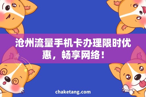 沧州流量手机卡办理限时优惠，畅享网络！