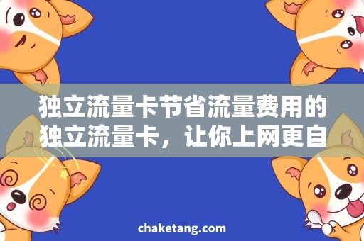 独立流量卡节省流量费用的独立流量卡，让你上网更自由