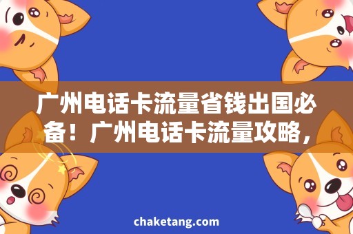 广州电话卡流量省钱出国必备！广州电话卡流量攻略，畅享海外通讯