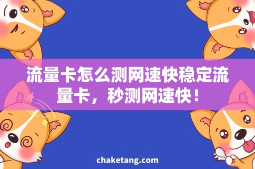 流量卡怎么测网速快稳定流量卡，秒测网速快！