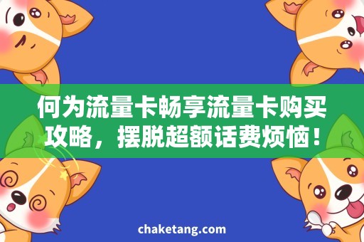 何为流量卡畅享流量卡购买攻略，摆脱超额话费烦恼！