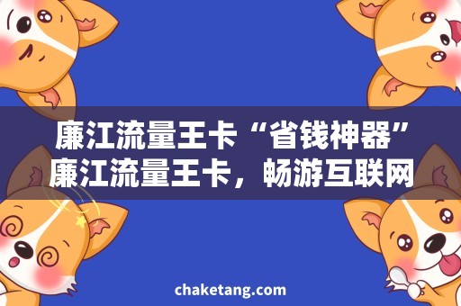廉江流量王卡“省钱神器”廉江流量王卡，畅游互联网不输速！