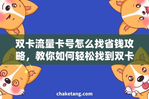 双卡流量卡号怎么找省钱攻略，教你如何轻松找到双卡流量卡号