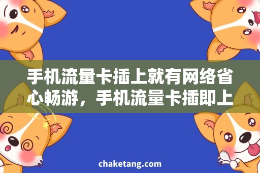 手机流量卡插上就有网络省心畅游，手机流量卡插即上网