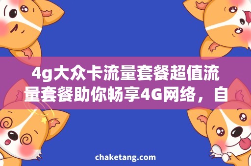 4g大众卡流量套餐超值流量套餐助你畅享4G网络，自由定制你的流量需求