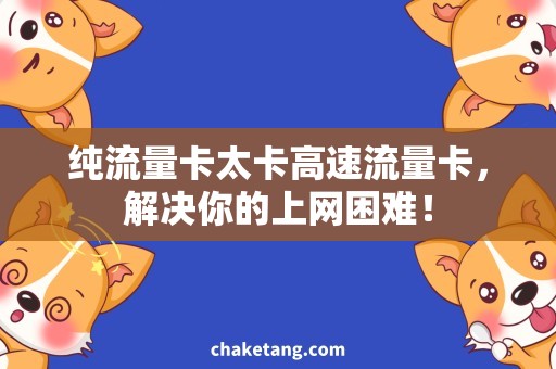 纯流量卡太卡高速流量卡，解决你的上网困难！