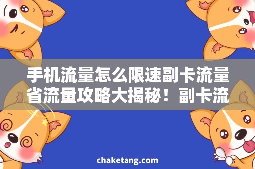 手机流量怎么限速副卡流量省流量攻略大揭秘！副卡流量限速神器让你高速畅享手机流量