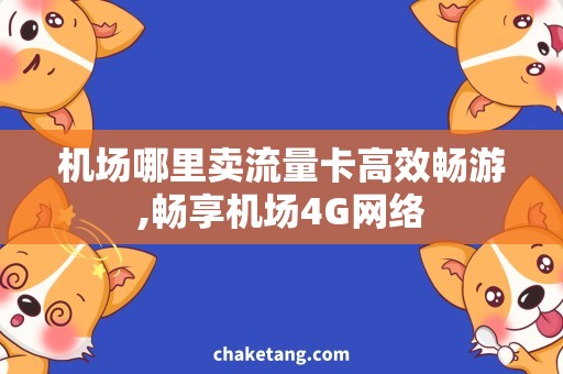 机场哪里卖流量卡高效畅游,畅享机场4G网络