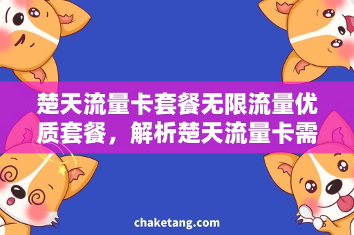 楚天流量卡套餐无限流量优质套餐，解析楚天流量卡需求与优惠